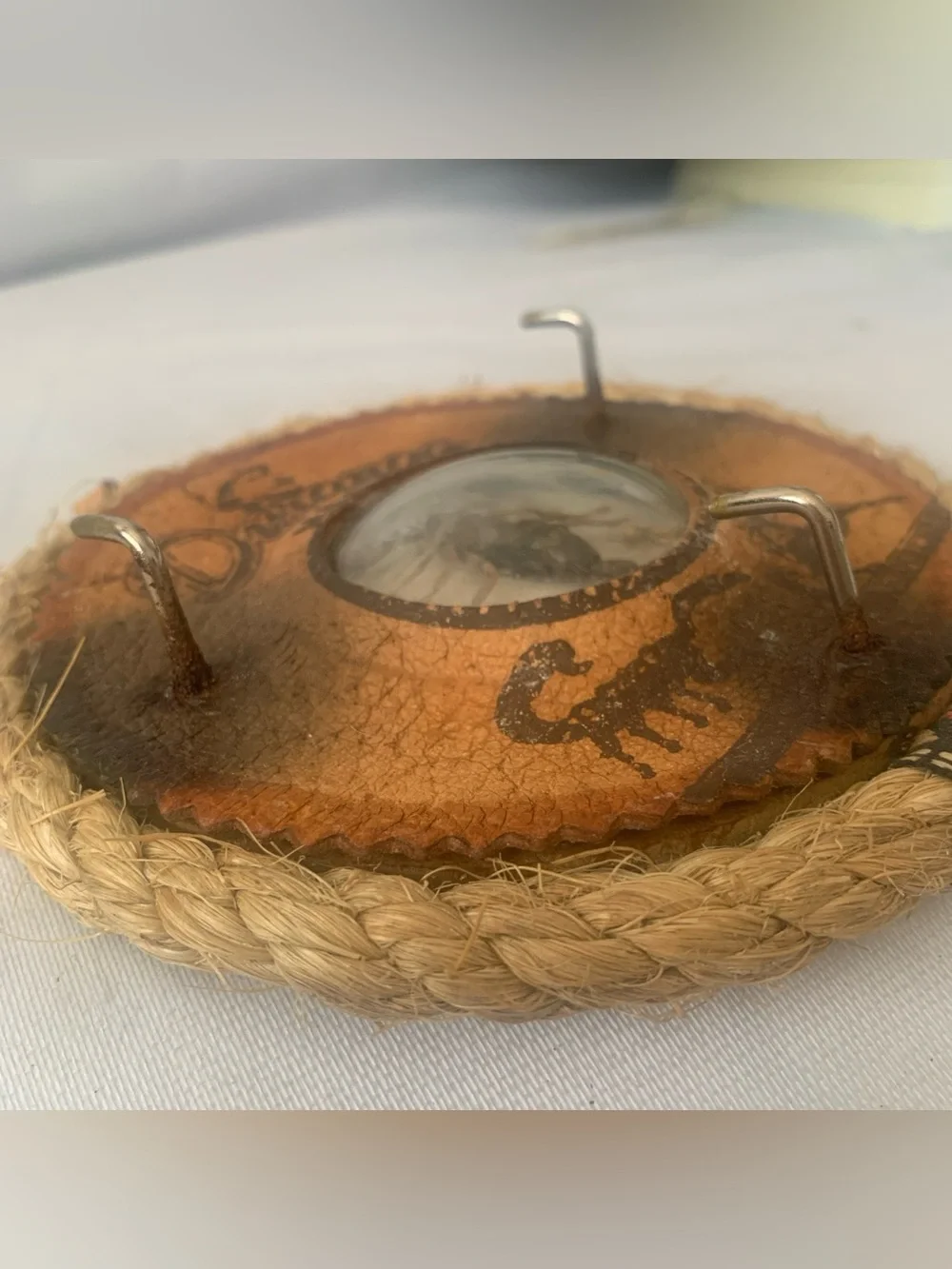 Durango Mexico Real Scorpion Wall Hanger Plaque Key Holder Rope Leather Souvenir
